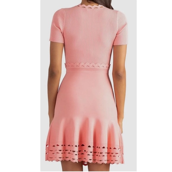 Shoshanna Pink Gemma Eyelete cut out Preppy Short Sleeve Fit flare dress XS - Picture 4 of 15